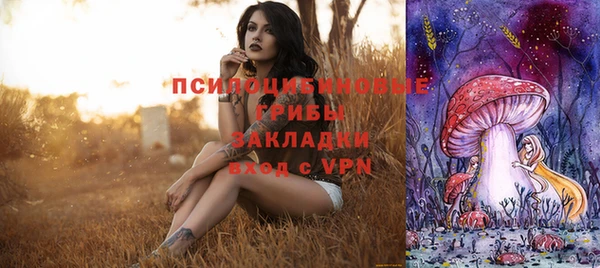 дурь Армянск
